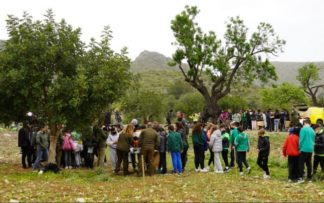 Más de 4.000 alumnos han participado en las actividades de Xarxa Forestal durante el último año escolar 