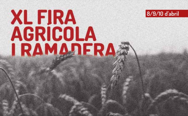 Arranca la XL Feria Agrícola y Ganadera de Santa Eugenia