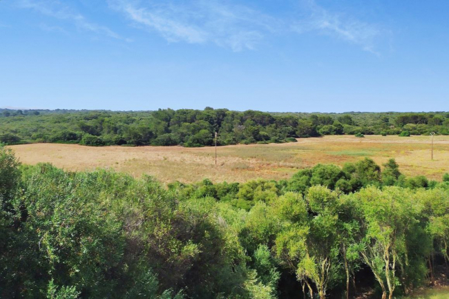 SomPortocolom, Terraferida i Salvem Portocolom demanen a l'ajuntament que descarti la nova urbanització de Sa Capella