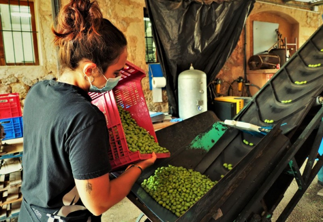 El FOGAIBA abona más de 5,6 millones de euros en ayudas al sector primario y agroalimentario de Balears