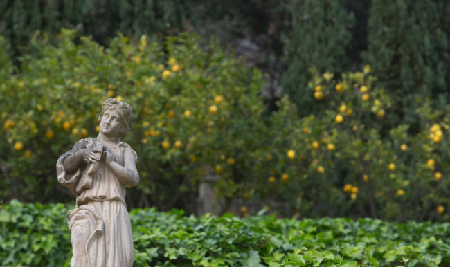 Literatura y naturaleza del brazo en los jardines de Raixa