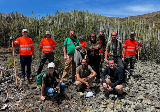 Las Illes Balears y las Canarias unen esfuerzos para frenar la expansión de serpientes invasoras en las islas