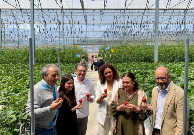La empresa mallorquina Terracor,  apuesta por la innovación agraria y el producto local 