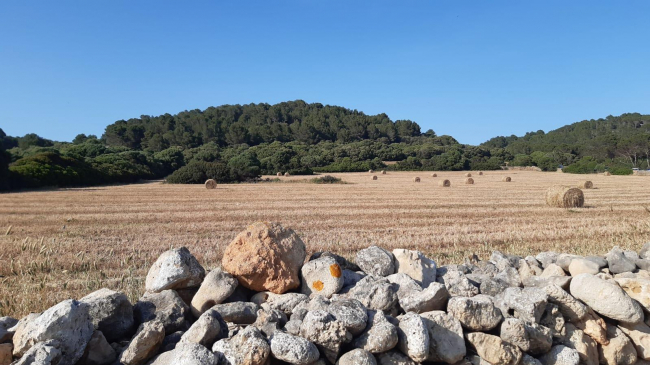 El Consell está gestionando 49 proyectos con fondos europeos 