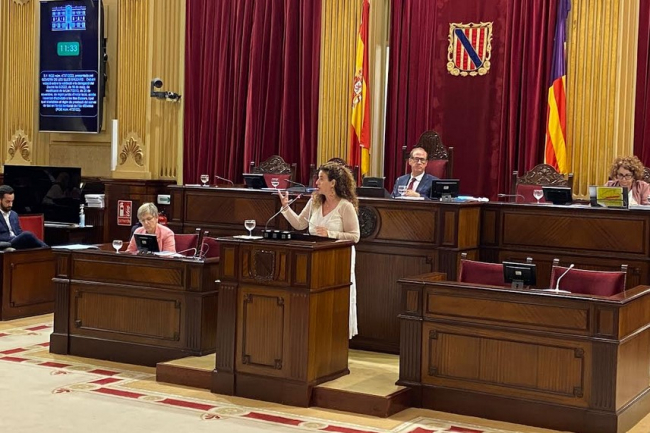 Costa: 'Ahora es el turno del Consell de Ibiza de intensificar el control de las fiestas ilegales'