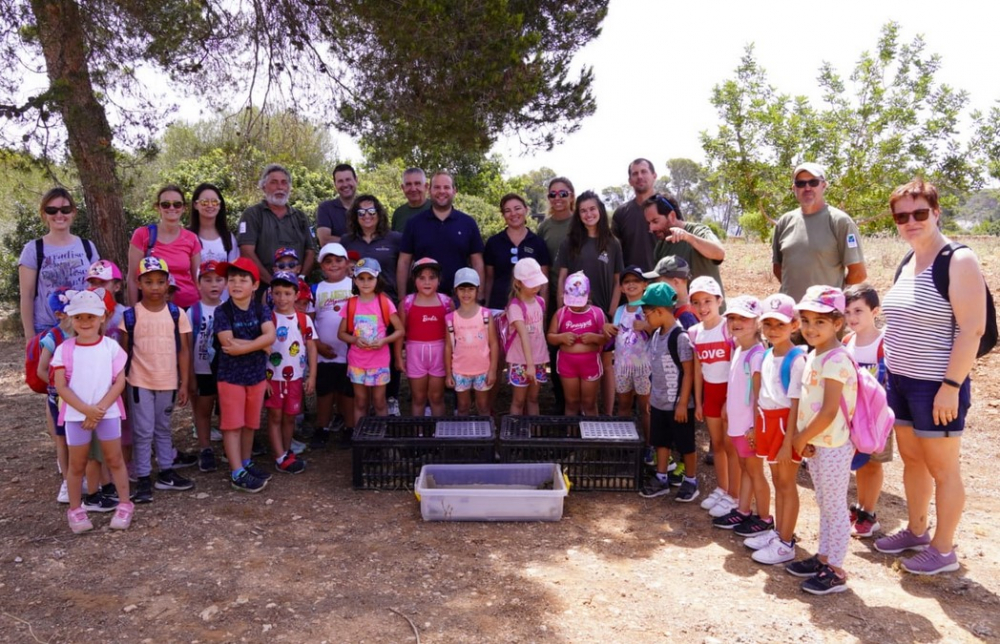 Un centenar de tortugas mediterráneas son liberadas en el Parque Natural de Mondragó