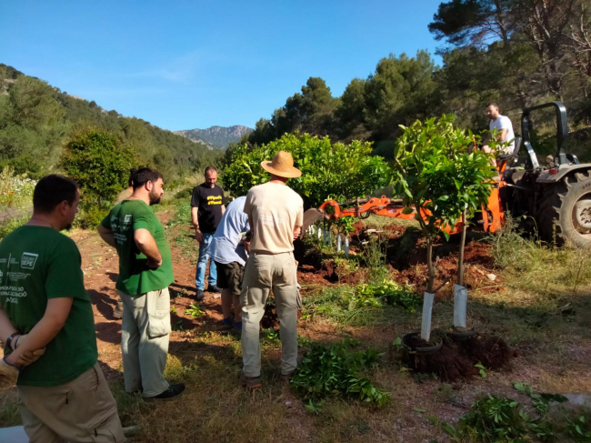 El IMAS concluye una nueva edición del proyecto de formación y ocupación Raixa 2021 destinado a personas con diversidad funcional