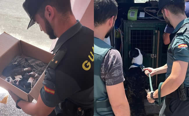 La Guardia Civil ha investigado a un varón por maltrato animal en Cala Ratjada