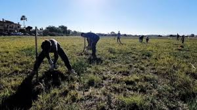 EL GOB denuncia la posición inmovilista del Estado y favorable al proyecto de AENA en relación al tema de Son Bonet