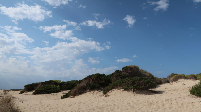 El Impuesto de Turismo Sostenible permite la contratación de informadores dunares para los espacios naturales protegidos