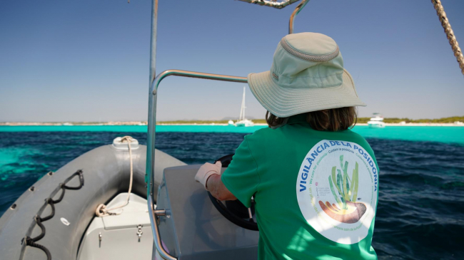 El Servicio de vigilancia de posidonia colabora en proyectos de ciencia ciudadana marina con Observadores del Mar