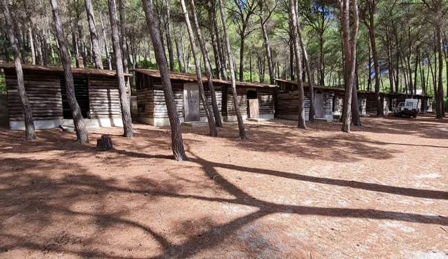 Reapertura de las casas de colonias de Cala Murta