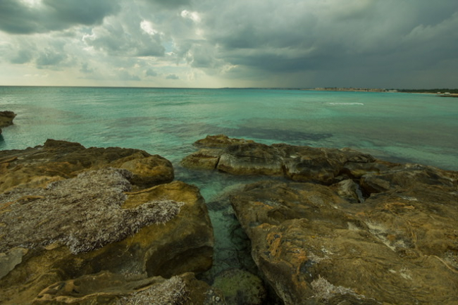 El Consell de Govern aprueba la modificación del reglamento del Consejo Balear del Clima