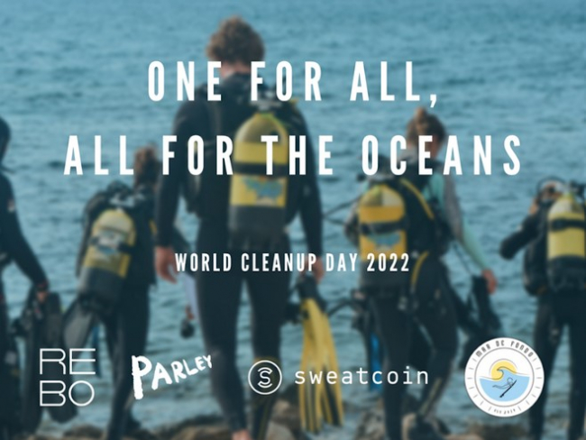 Más de 30 buceadores voluntarios se sumergen para limpiar la playa de Magaluf