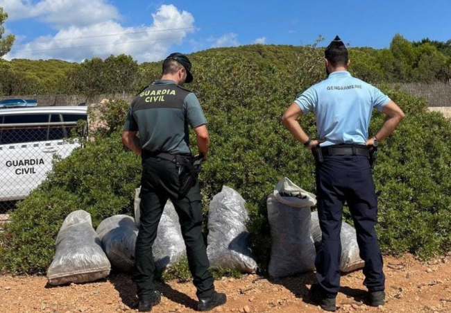 La Guardia Civil ha detenido a 5 personas por robo de algarrobas en Calvià y Llucmajor