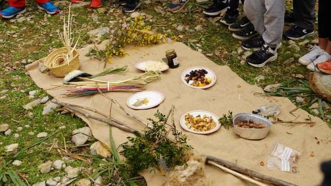 La Xarxa Forestal centra la oferta educativa de este curso en la promoción de los valores forestales y la cultura del riesgo ante los incendios