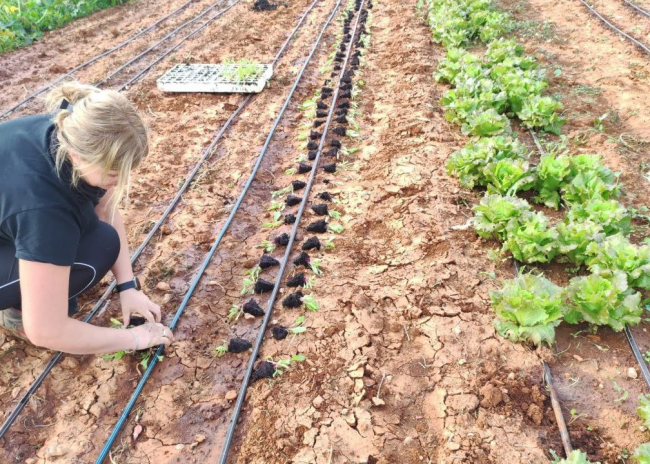 El presupuesto de las ayudes del desarrollo rural para Balears aumentarán un 6% el periodo 2023-2027