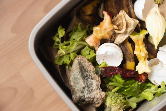 Medio Ambiente abre una convocatoria de subvenciones para mejorar la gestión de la fracción orgánica en los municipios y fomentar el compostaje