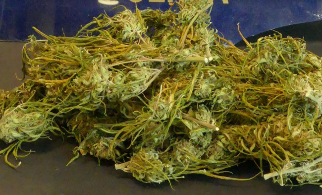 La Policía Nacional ha detenido a un hombre por un delito de tráfico de drogas
