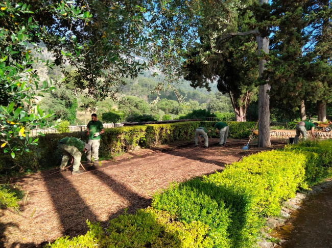 El IMAS organiza una nueva edición del proyecto SOIB 30 formación y empleo Raixa 2022 con 10 nuevos alumnos