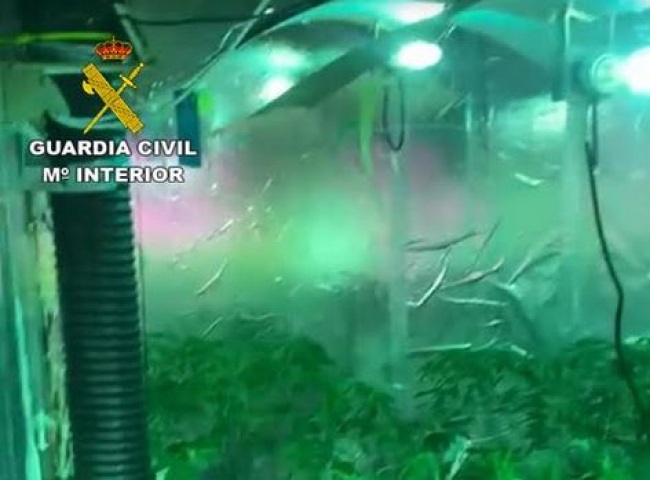 La Guardia Civil incauta una plantación de marihuana en un local Grow Shop