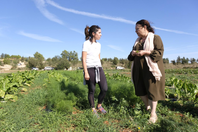 De la Concha destaca el «resurgimiento del sector primario en las Pitiüses, con personas jóvenes, después de la arrasamiento del turismo»
