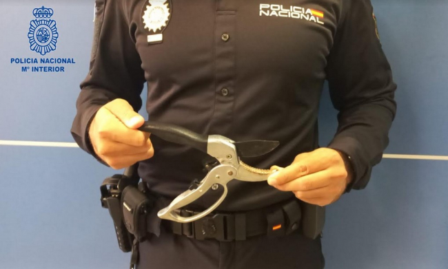 La Policía Nacional de Palma detiene a nueve personas in fraganti robando en el interior de vehículos 