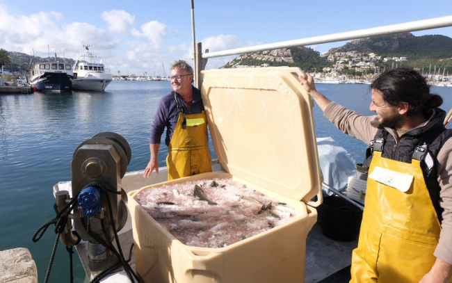 Agricultura y Acuicultura Balear donan 2.800 lubinas a entidades sociales de Mallorca 
