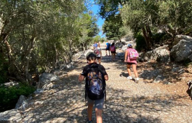 El Consell amplia la oferta de transporte gratuito a la Serra