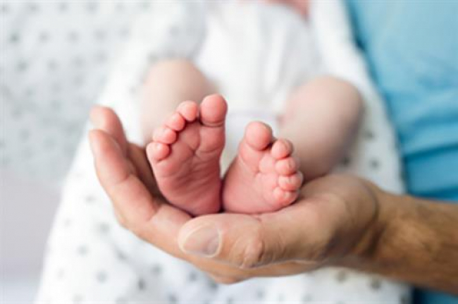 La Seguridad Social ha tramitado 354.618 permisos por nacimiento y cuidado de menor en lo que va de año