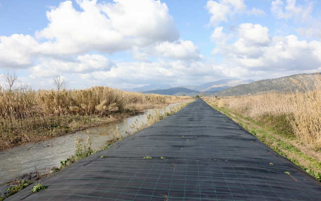La restauración ambiental del torrente de Siurana permitirá aumentar la aportación de agua al Parque Natural de s’Albufera