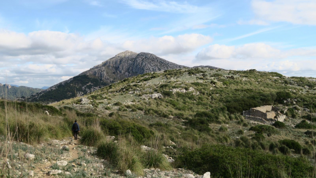 El Consell de Mallorca incorpora el camino entre el coll de sa Gremola y la finca pública de Galatzó a la Ruta de Pedra en Sec