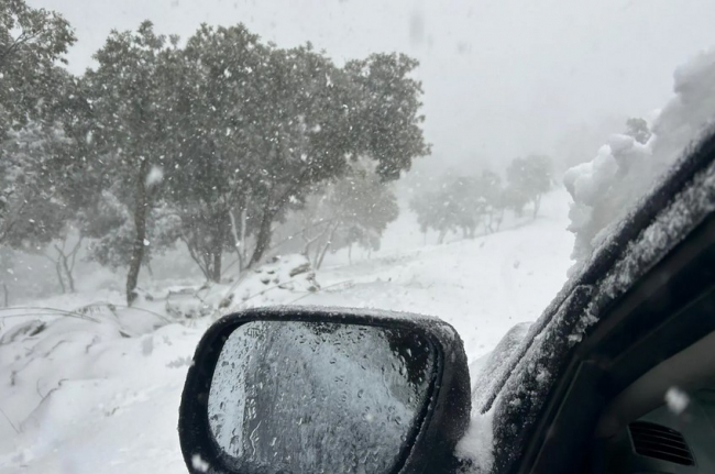 El PP denuncia la “falta de previsión” del Consell y la Dirección General de Emergencias ante la nevada en los pueblos del sur y Levante de Mallorca