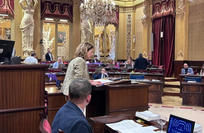 El Parlament aprueba la Ley de cooperación para la colaboración con los países y territorios que sufran problemáticas a las que se enfrenta el mundo global