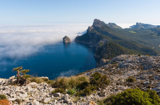 El Consell de Mallorca crea la Dirección Insular de la Sierra de Tramuntana