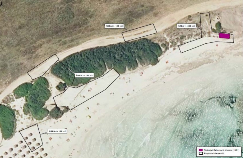 El Govern inicia los trabajos de excavación en la playa de sa Coma