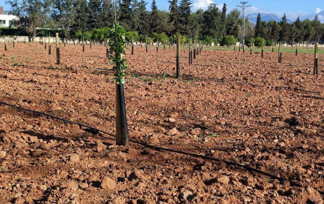 PIMEM pide un cambio real y efectivo en la política estatal y comunitaria a la hora de defender el producto agrario y pesquero local