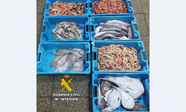 La Guardia Civil incauta 33 kilos de pescado y marisco comprado
irregularmente en Sant Antoni