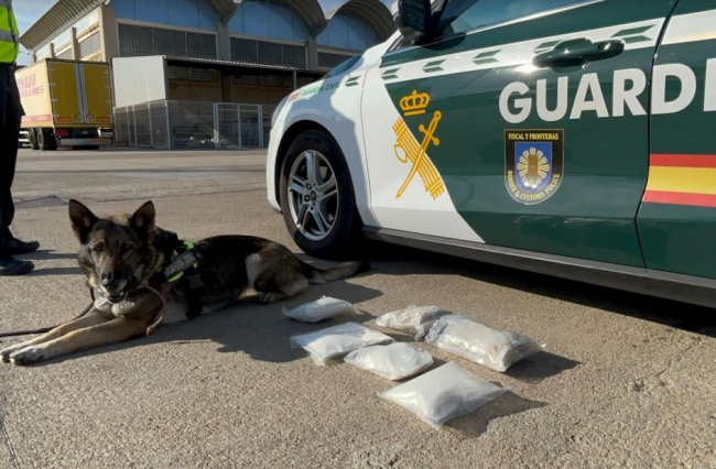 La Guardia Civil incauta en el Puerto de Palma una maleta con seis paquetes de sustancias estupefacientes
