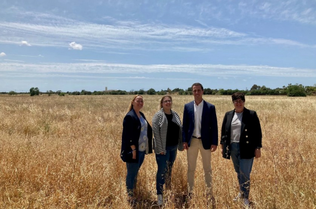 Llorenç Galmés mantendrá la superficie mínima de dos cuarteradas para construir en suelo rústico