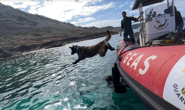 La Guardia Civil de Balears incorpora a un perro especialista en búsqueda de personas en grandes áreas y estructuras críticas