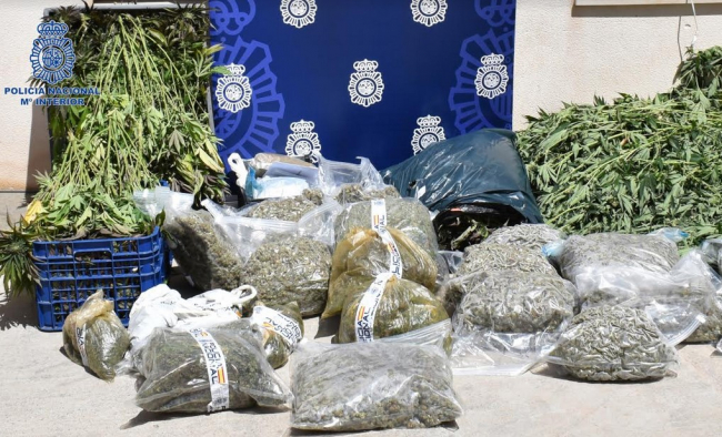 Siete detenidos por tráfico de drogas, defraudación de fluido eléctrico y pertenencia a grupo criminal en Ibiza