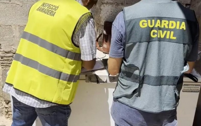 La Guardia Civil junto con un veterinario del Servicio de Ganadería ha inspeccionado una
explotación ganadera en Palma