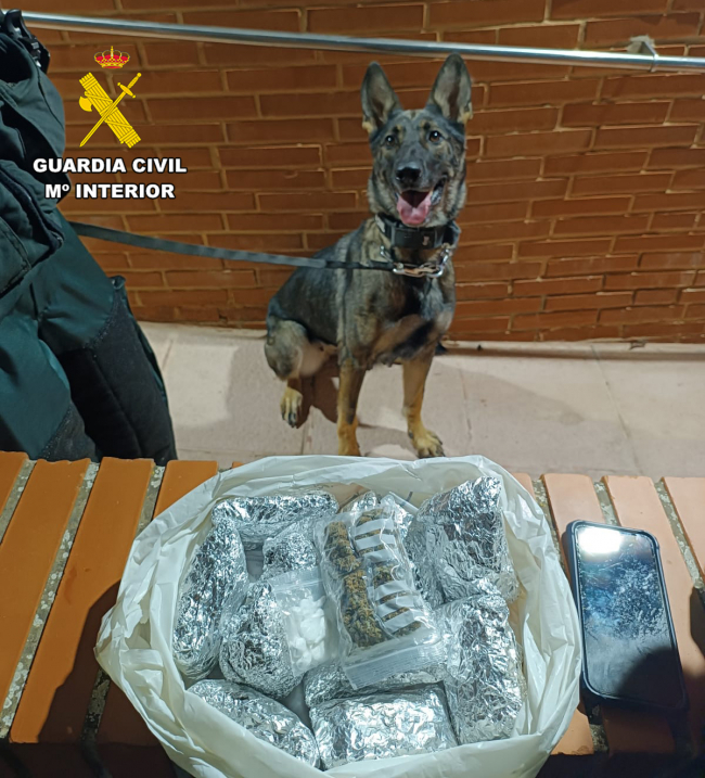 La Guardia Civil incauta cocaína y
marihuana escondidas en la vía pública en Magaluf