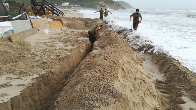Retiran el último nido de tortuga marina de la playa d'Es Cavallet a causa del temporal de este fin de semana en Ibiza