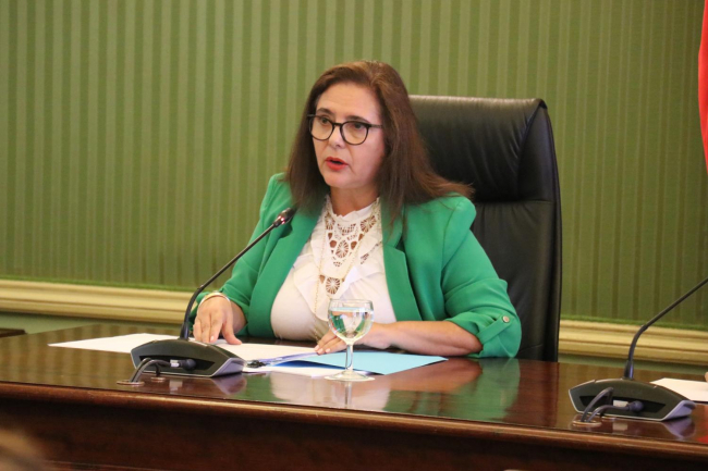 La consellera de Salud, Manuela García, presenta en el Parlamento un gran pacto por la salud