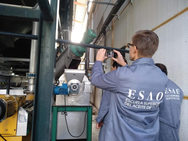 ESAO Anuncia su Oferta de Formación en Aceite de Oliva para 2023-2024