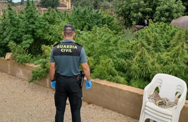 La Guardia Civil ha investigado a una mujer por cultivo y elaboración de droga en Sant Joan
