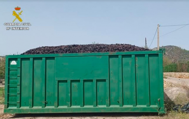 La Guardia Civil ha investigado a una persona por el hurto de 40 toneladas de algarroba en Marratxí