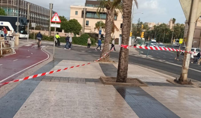 El Consell de Mallorca cierra el paso a peatones del Passeig Marítim de Palma durante todo el día de hoy por el temporal de viento